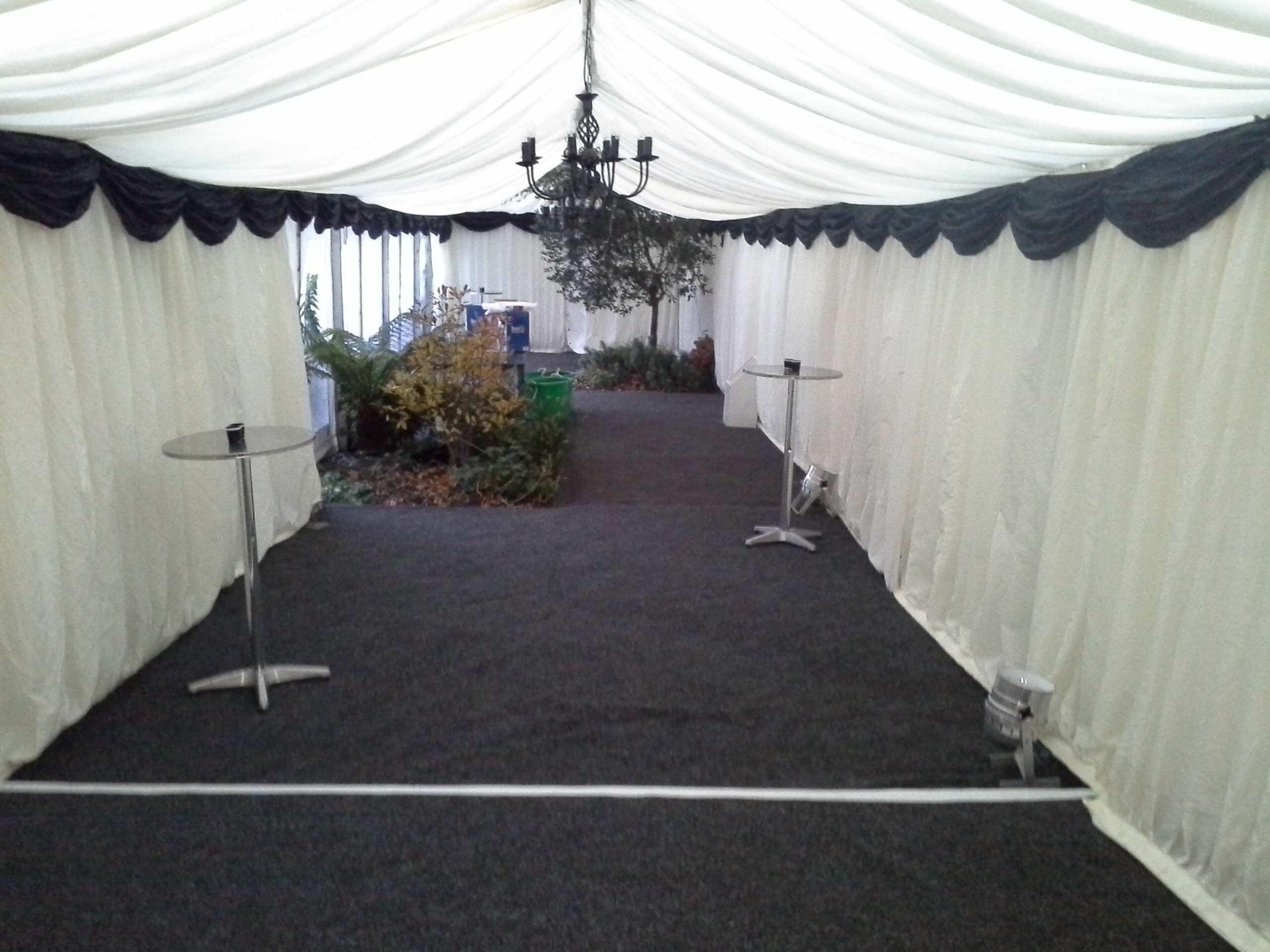 Birthday Party Marquee